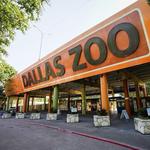 Dallas Zoo