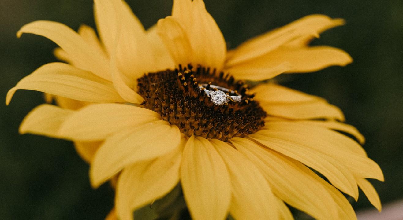 The Wedding Website of Sara Paris and Cody Grimes