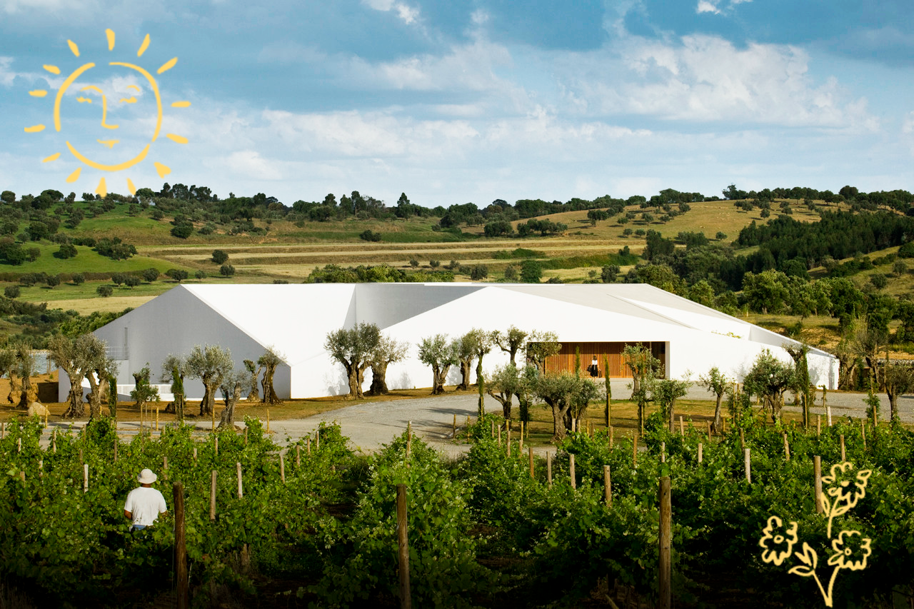 The Wedding Website of David Zelniker and Maria Moyano