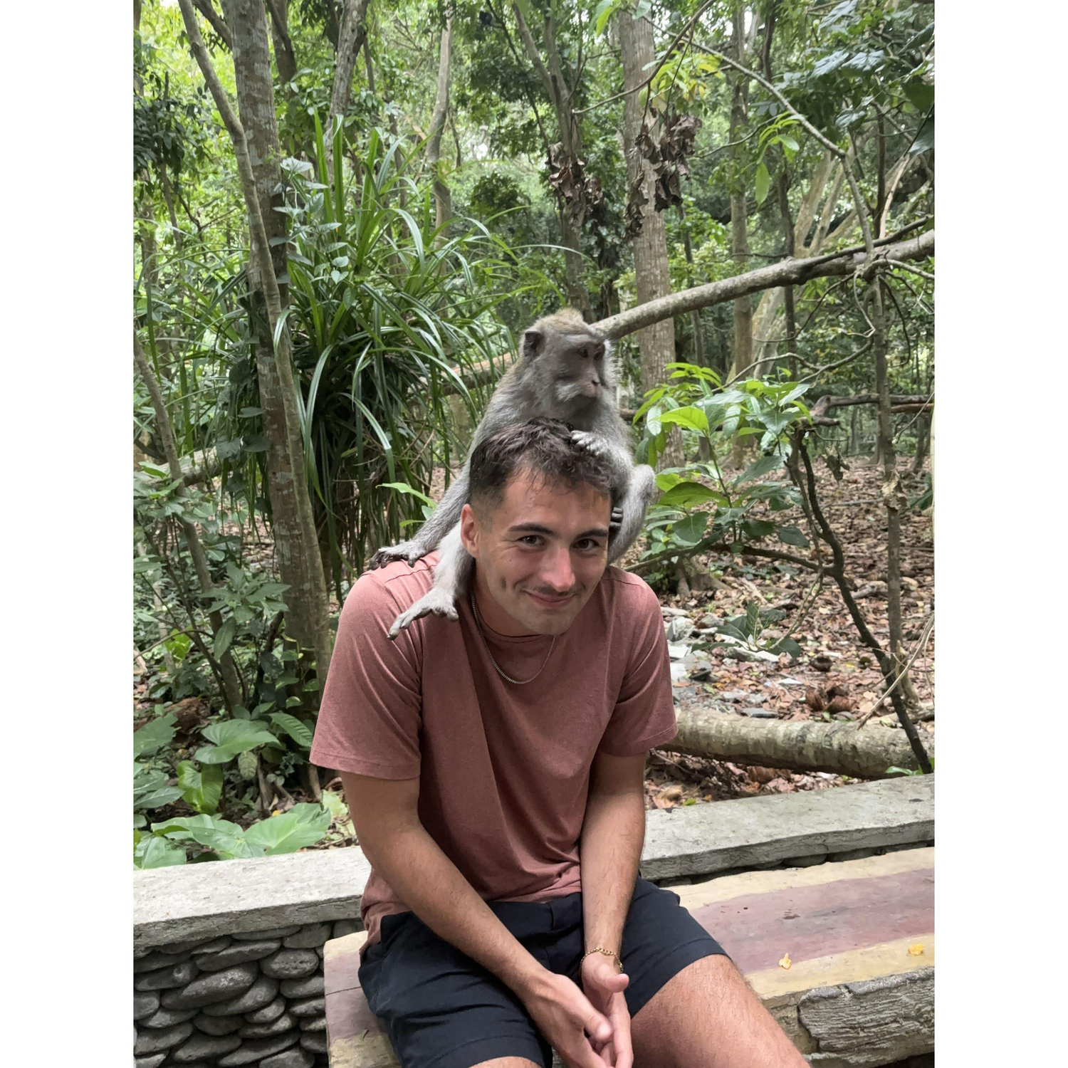 Monkey Forest, Ubud