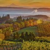 Willamette Valley