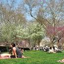 McCarren Park