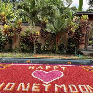 Bali - Flower Petal Pool