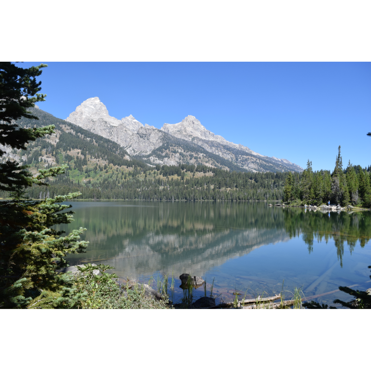 Taggart Lake - VERY cold water but gorgeous views!