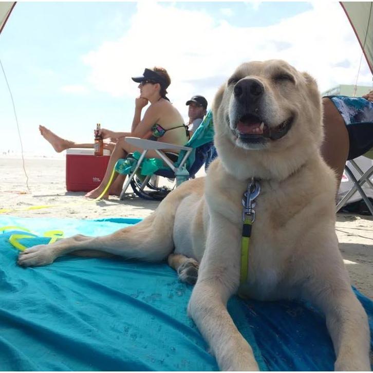 At the Beach with Friends