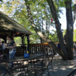 Dog & Pony Tavern