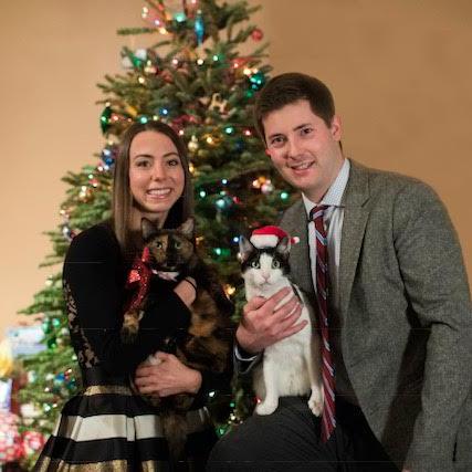 Christmas with the cats