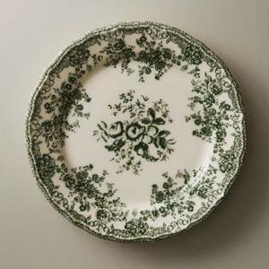 Zara FLORAL EARTHENWARE DINNER PLATE (Set of 6)
