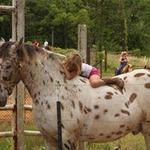Painted Sky Ranch Riding School