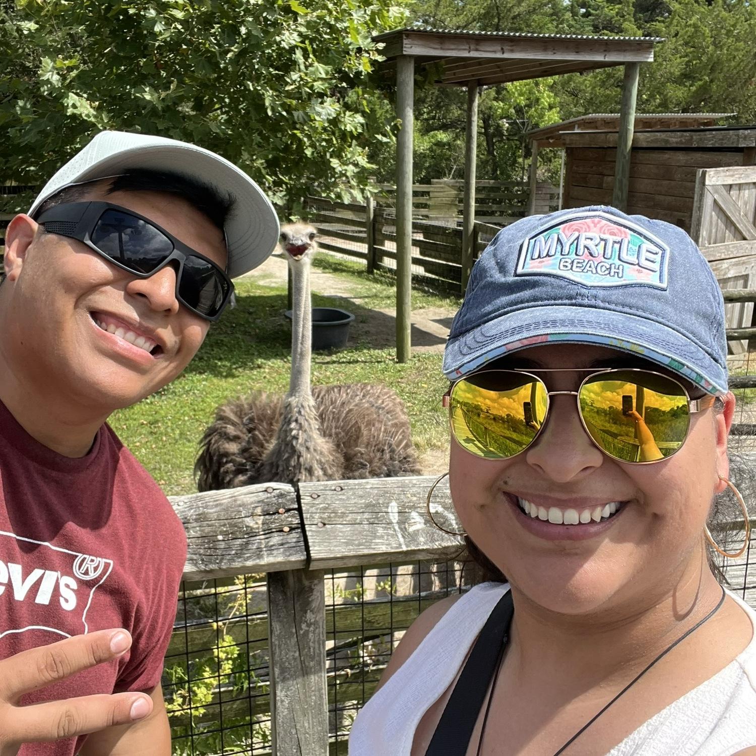 Taking selfies with our friend Mr. Ostrich. Tomando selfies con nuestro amigo el Sr. Avestruz.