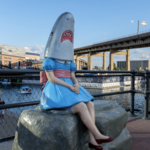 Canalside