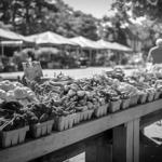 Kerrytown Market & Shops