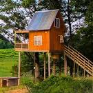 Treehouse Vineyards