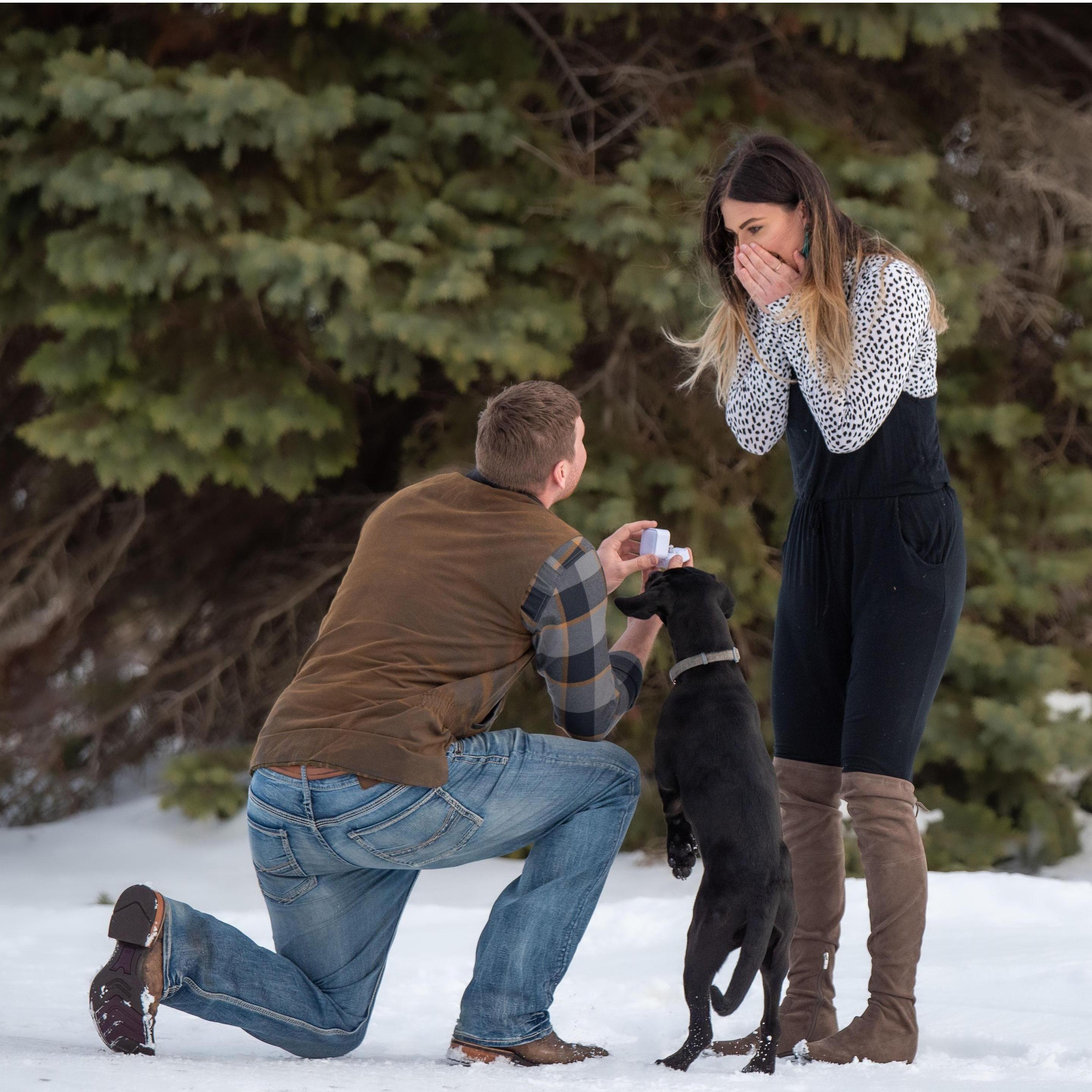 the sweet proposal