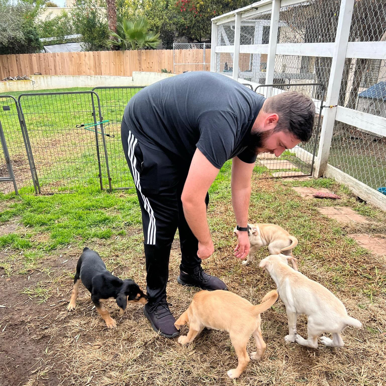 Puppy heaven!