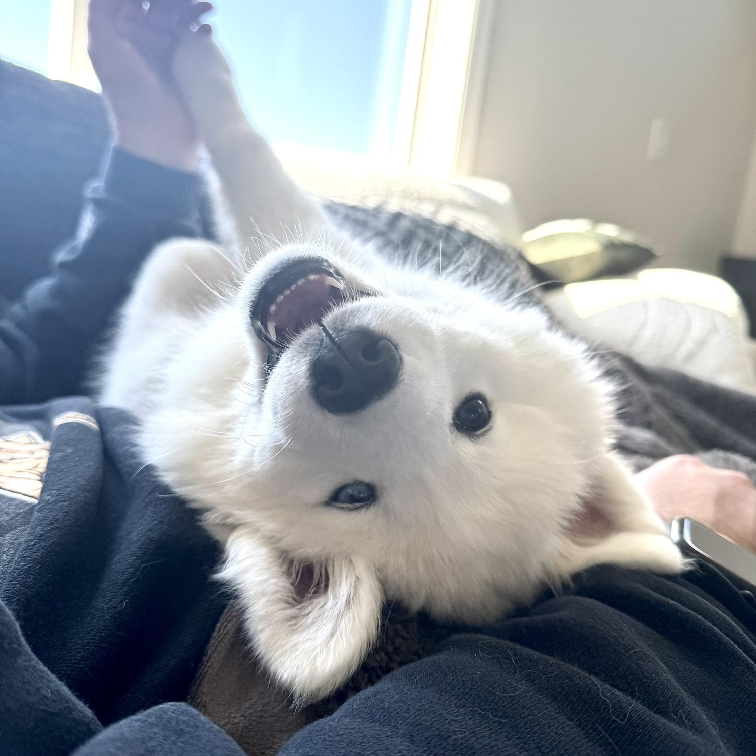 This is Laska🫶🏽