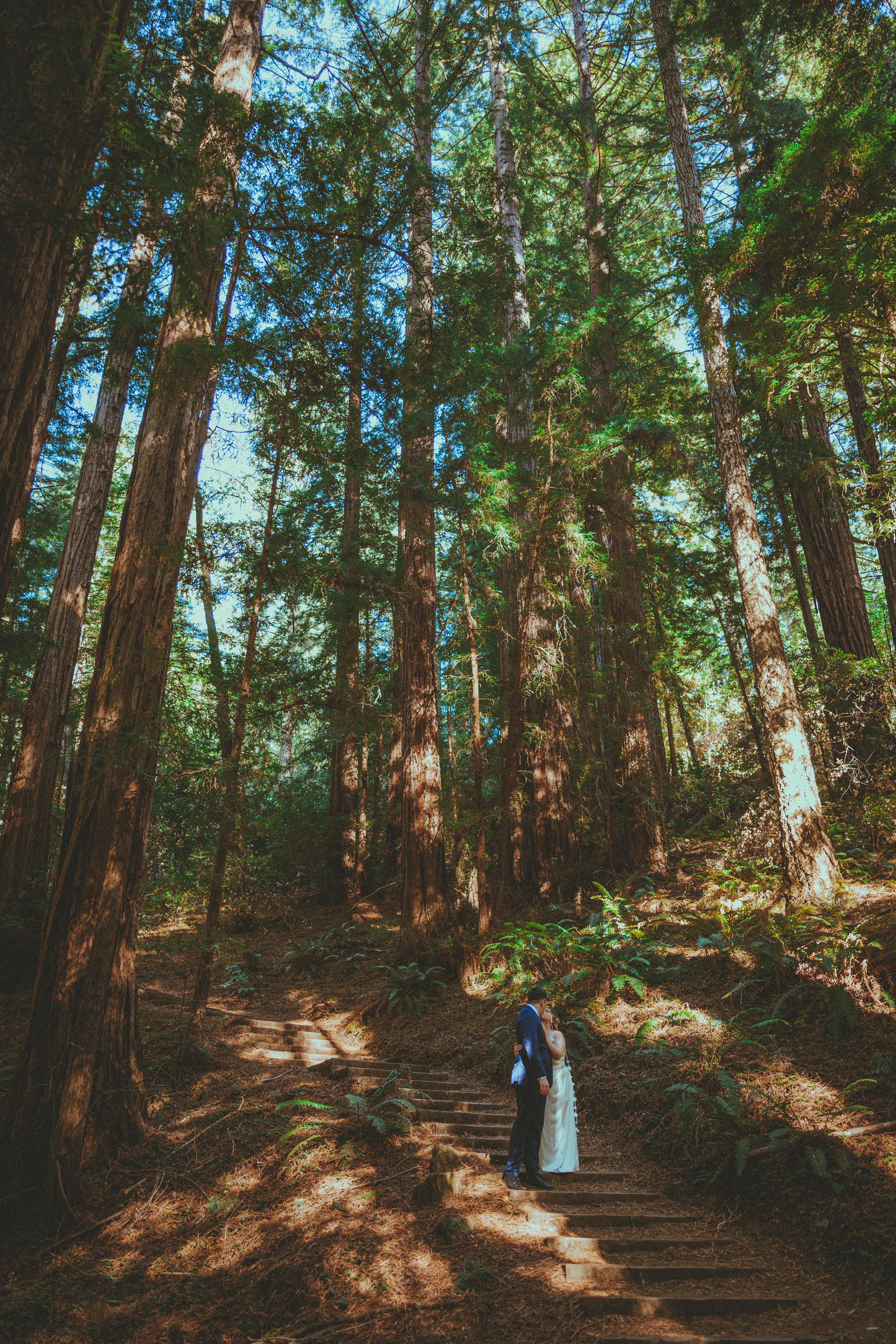The Wedding Website of Marissa Ann Intrieri and Jose Ramon Silva Jr