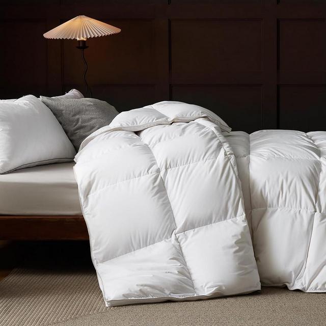 Bedsure Premium Down Comforter Queen Size, Luxurious High-Loft White Down Duvet Insert for All Seasons, Storage Bag & 8 Corner Tabs, Machine Washable, 46 Oz Fluffy Medium Warmth (90x90 Inches)