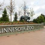 Minnesota Zoo