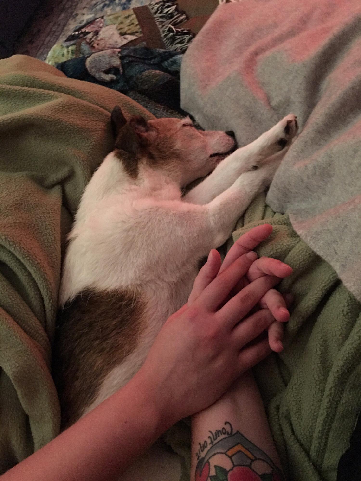 Cuddling with Idgie on the couch