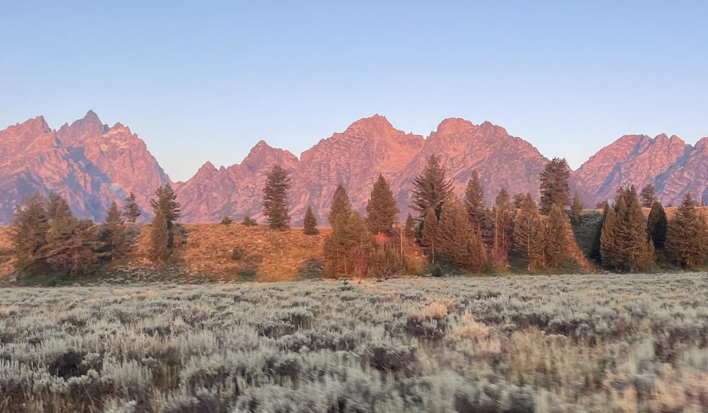 The Wedding Website of Rachel Bloink and Kevin Hoerr