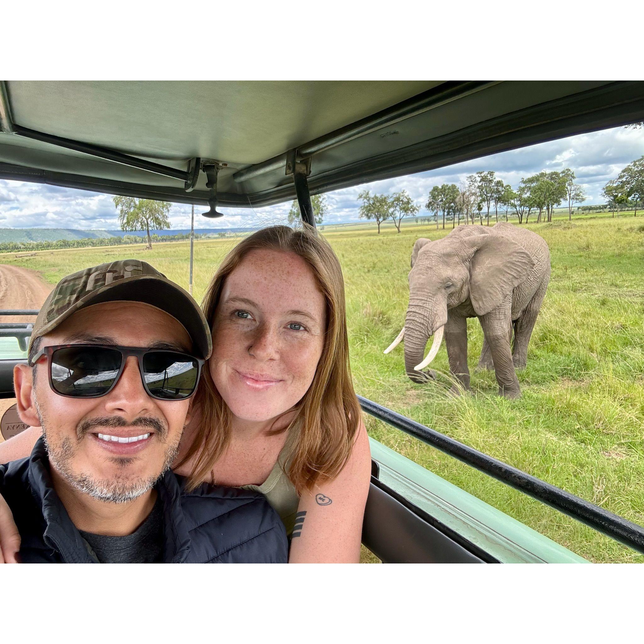 Game driving in the Maasai Mara. This was one of a herd of about 25 elephants. I was in heaven!