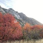 Little Cottonwood Canyon