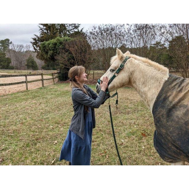 Informing Kieran of our marriage right after leaving the courthouse. He was not impressed.