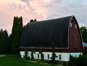 The Wedding Website of Michelle Perry and Douglas Steinbronn