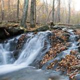 Shenandoah National Park/Skyline Drive