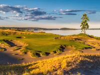 Chambers Bay Golf Course