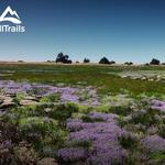 Santa Rosa Plateau Ecological Preserve