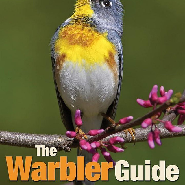 The Warbler Guide