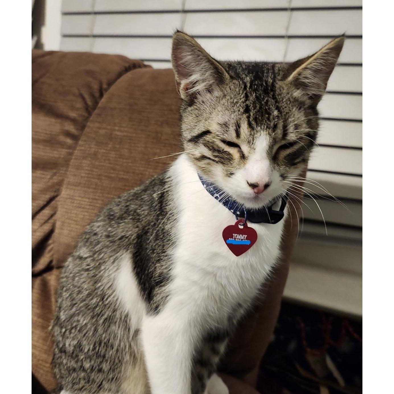 Tommy