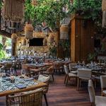 Porfirio's Tulum | Restaurante de comida mexicana
