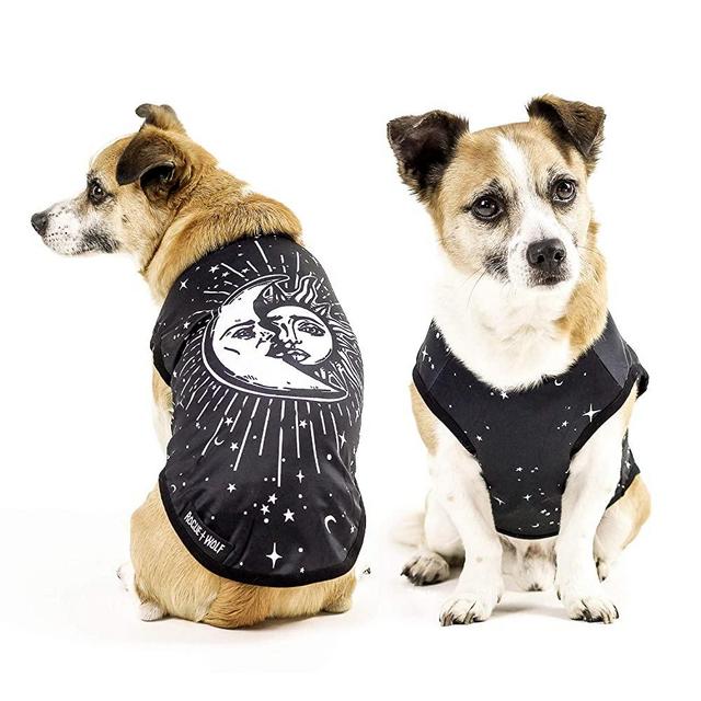Cute Dog & Cat Vest Clothes for Small Dogs & Large Girl & Boy Puppy Kitten Pets Accessories Pet Outfits Goth Gothic Witchy Gifts Costume Sizes XS - XXL