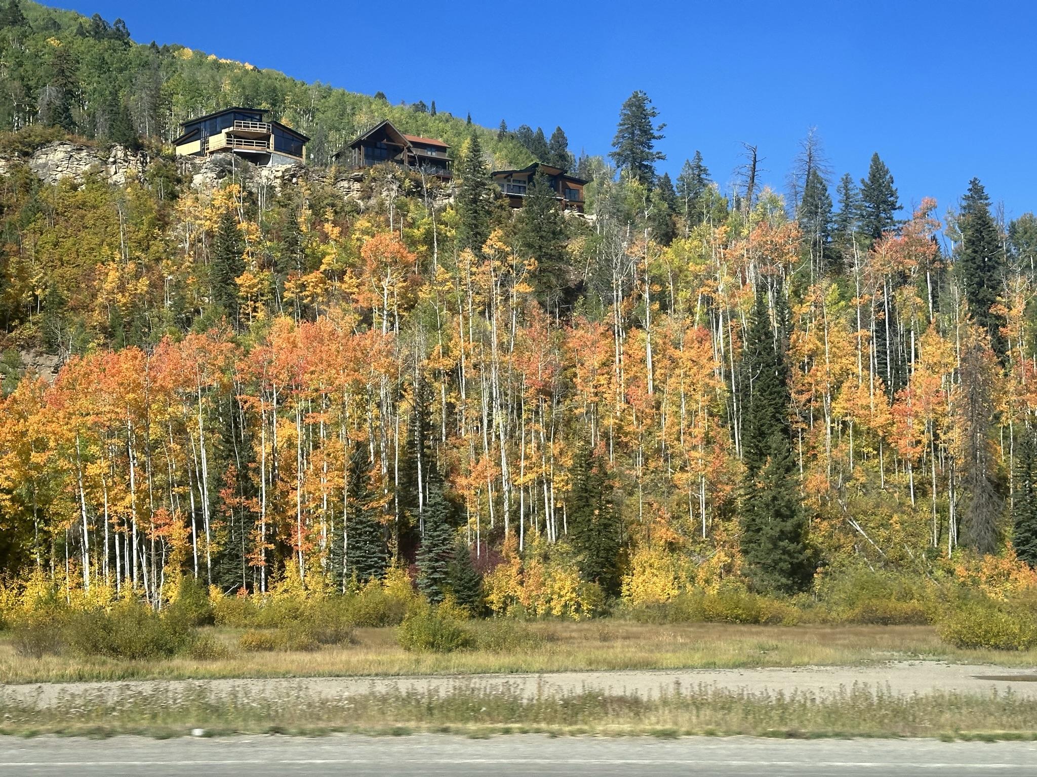 The Wedding Website of Gabriella Clitso and Frank Edwards