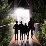 Foresta Lumina