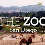 San Diego Zoo