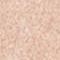 Mauve Rose