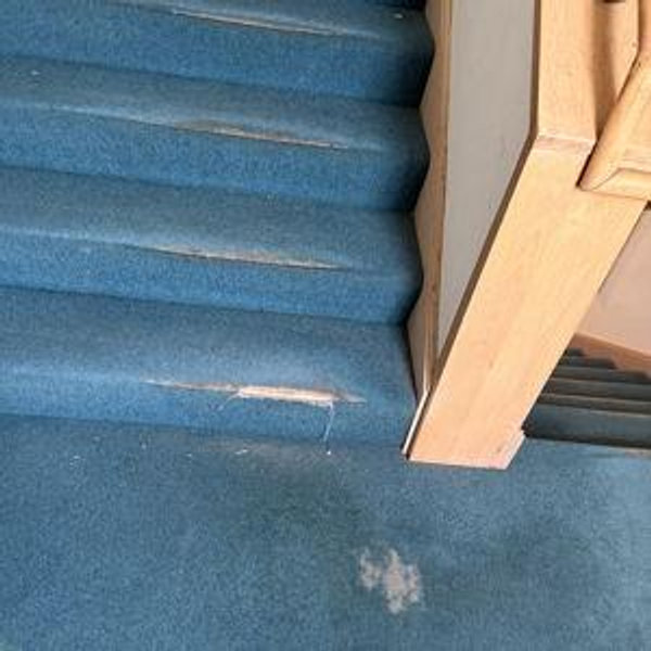 Home Renovation Fund - Floors