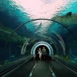 SeaWorld San Diego