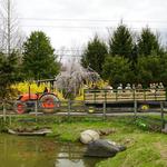 Harvest Moon Farm & Orchard