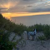 Sleeping Bear National Park