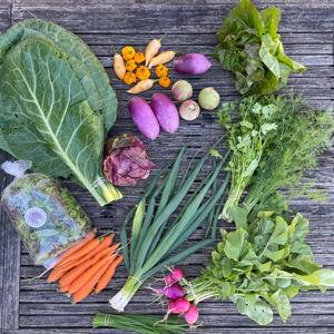 Local Farm Share