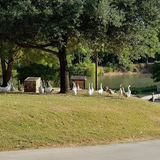 Fisherman's Park