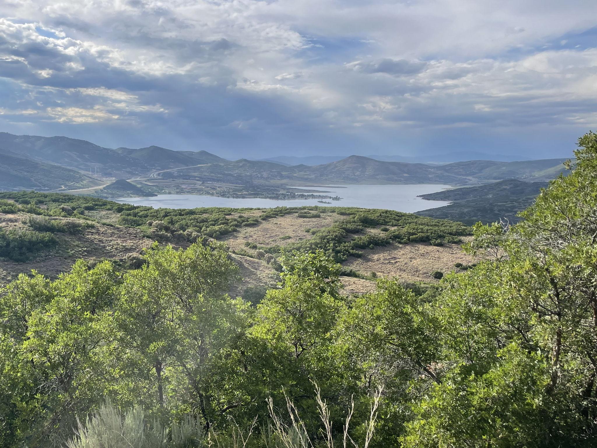 The Wedding Website of Bailey Bartholomew and William Herchenbach