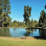 Apple Hill | High Hill Ranch