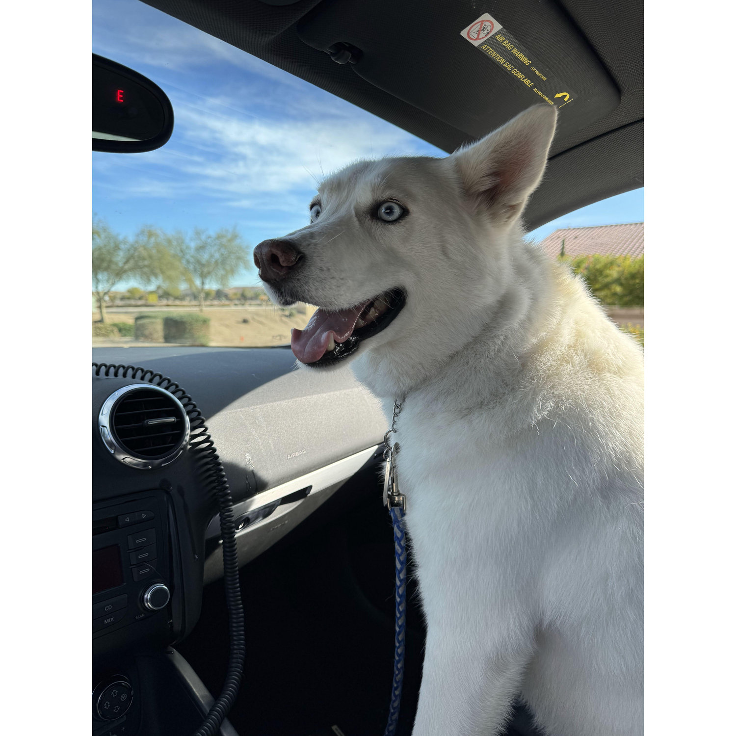 Kenai