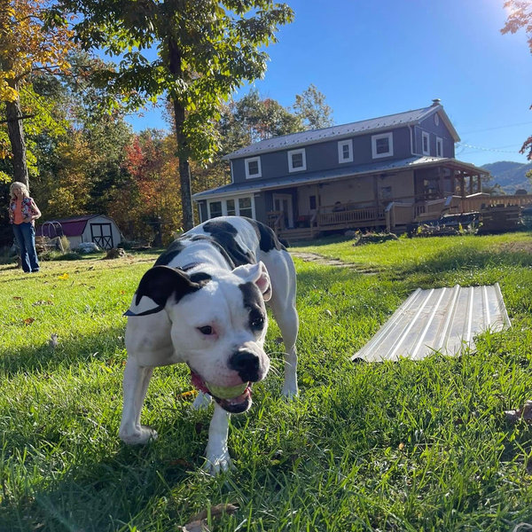 Our Home Renovation Fund